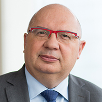 François Brottes 